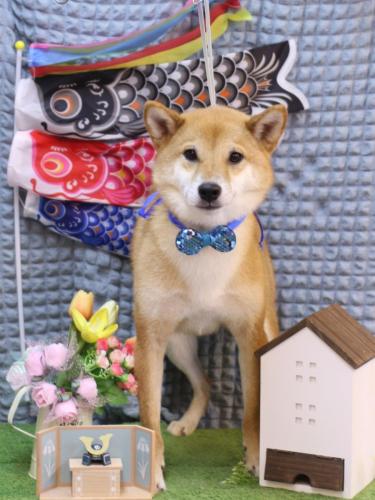 20230519シュウくん